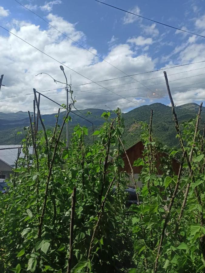 Bbq House Apartment Dilijan Bagian luar foto