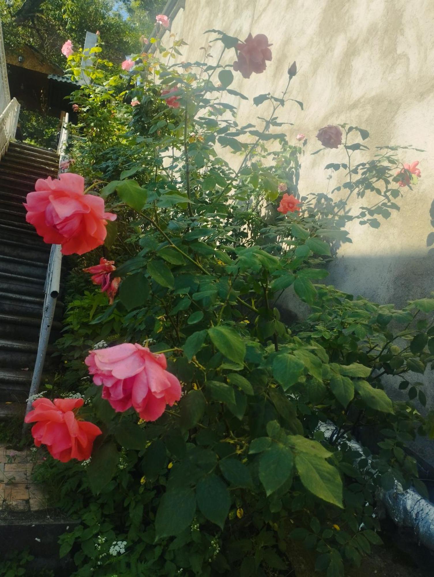 Bbq House Apartment Dilijan Bagian luar foto